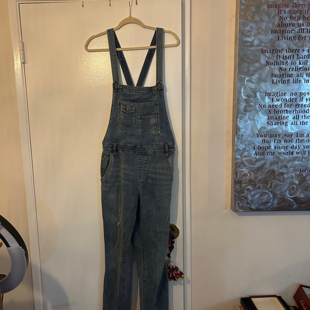 Free People Denim Overalls